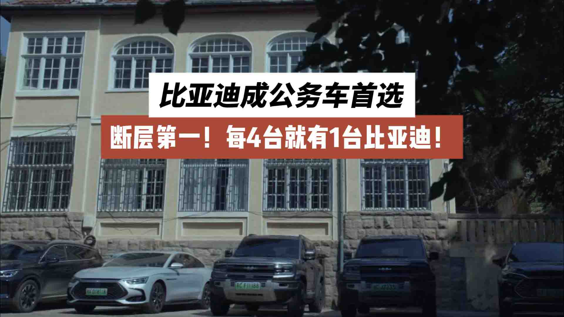 断层第一！每4台就有1台比亚迪！比亚迪成公务车首选