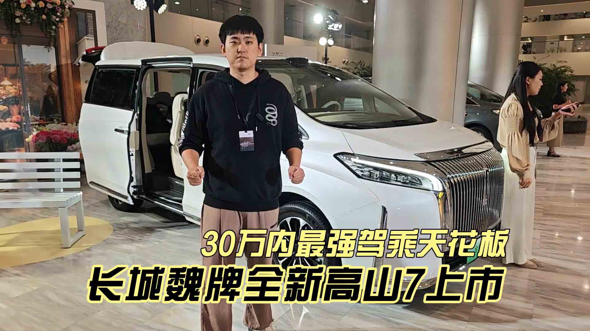 30万内最强驾乘天花板 长城魏牌全新高山7 年轻家庭首选的MPV