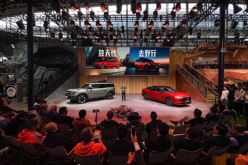 放天性 去野行 智趣烈马、新蒙迪欧双星闪耀